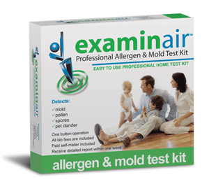 Testing For Black Mold In Houses Examinair Mold Test